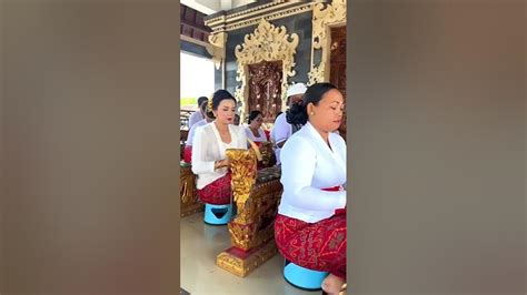 Kumpulan 899 Video Kumpulan Bule Gundul Penakluk Ibu Ibu Bali.